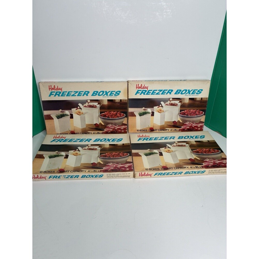 Lot Of 4 Vintage Hefty 15 Freezer Boxes Food Storage 1 Quart NOS